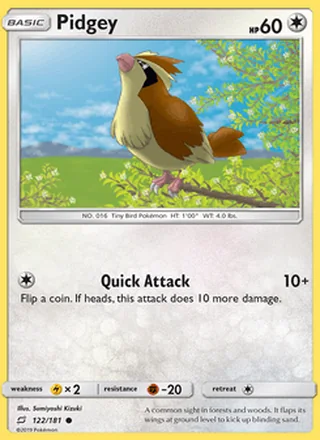 Pidgey (2019)