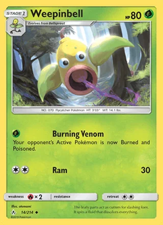 Weepinbell (2019)
