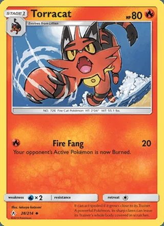 Torracat (2019)