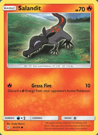 Salandit (2019)