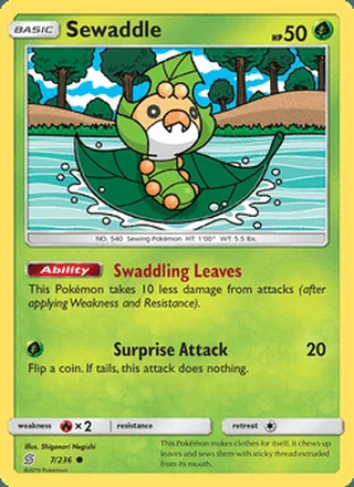 Sewaddle (2019)
