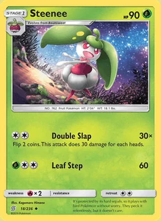Steenee (2019)