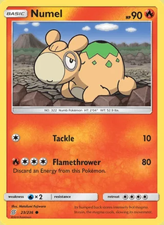 Numel (2019)