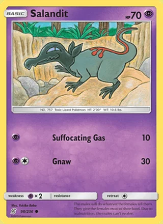 Salandit (2019)