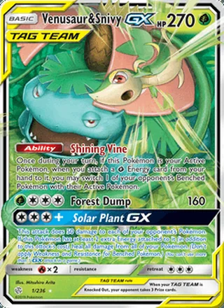 Venusaur & Snivy GX (2019)