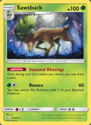 Sawsbuck (2019)