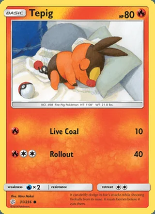 Tepig (2019)