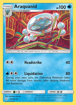 Araquanid (2019)