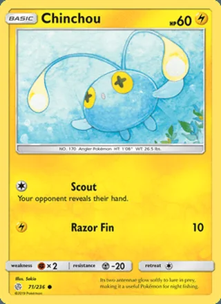 Chinchou (2019)