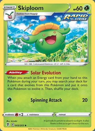 Skiploom (2021)