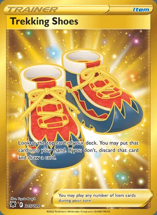 Trekking Shoes (2022)