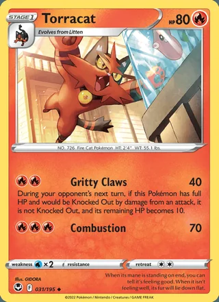 Torracat (2022)