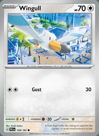 Wingull (2023)