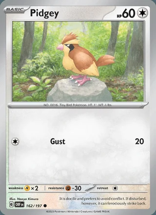 Pidgey (2023)