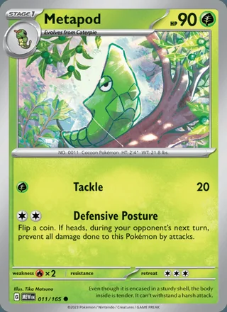 Metapod (2023)