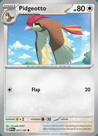 Pidgeotto (2023)