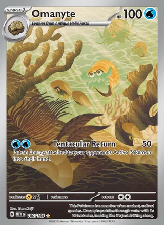 Omanyte (2023)