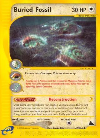 Buried Fossil (2003)