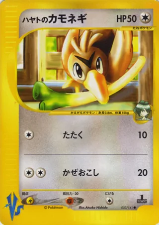 Falkner's Farfetch'd — ハヤトのカモネギ (2001)