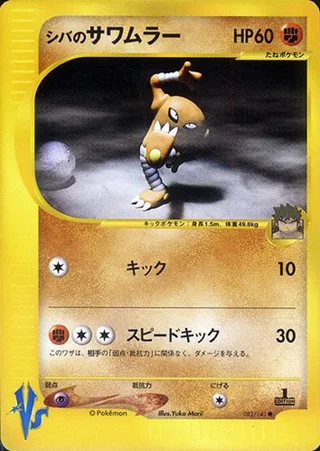 Bruno's Hitmonlee — シバのサワムラー (2001)