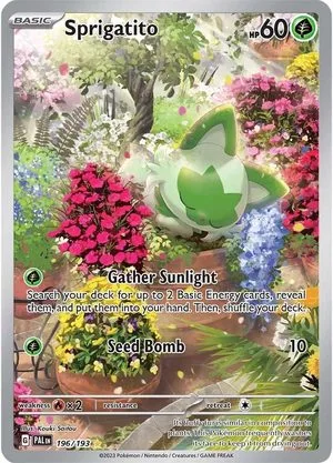 Sprigatito, English Pokemon card