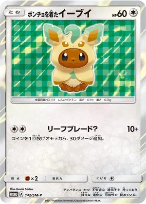Poncho-Wearing Eevee, Japanese Pokemon card