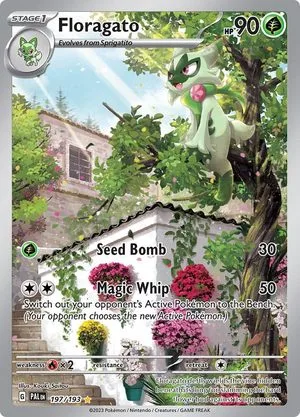 Floragato, English Pokemon card