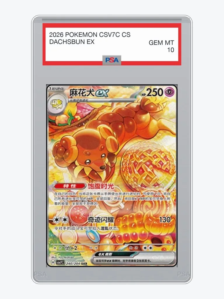 2026 Pokemon Simplified Chinese Blade Awakening Dachsbun Ex #240 PSA 10
