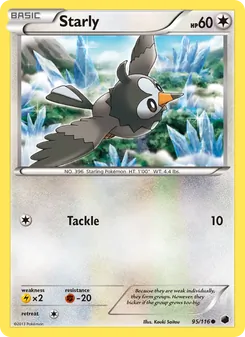 Starly — Plasma Freeze #95, 2013. Illustrated by Kouki Saitou.