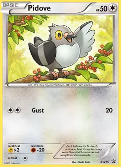Pidove — BW Black Star Promos #BW15, 2011. Illustrated by Naoki Saito.