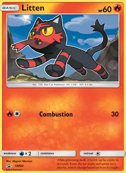 Litten — SM Black Star Promos #SM02, 2017. Illustrated by Megumi Mizutani.