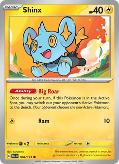 Shinx — Paldea Evolved #068, 2023. Illustrated by kurumitsu.