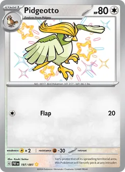 Pidgeotto — Paldean Fates #197, 2024. Illustrated by Kouki Saitou.
