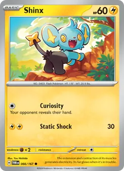 Shinx — Twilight Masquerade #066, 2024. Illustrated by Yuu Nishida.