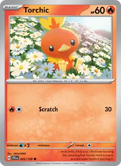 Torchic — Journey Together #022, 2025. Illustrated by OKACHEKE.
