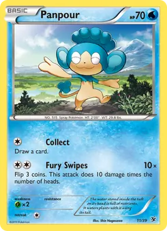 Panpour — Kalos Starter Set #11, 2013. Illustrated by Shin Nagasawa.