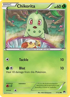 Chikorita — BREAKpoint #1, 2016. Illustrated by Akira Komayama.