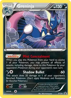 Greninja — XY Black Star Promos #XY24, 2013. Illustrated by Akira Komayama.