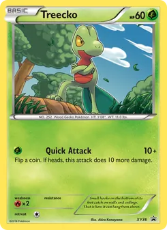 Treecko — XY Black Star Promos #XY36, 2013. Illustrated by Akira Komayama.