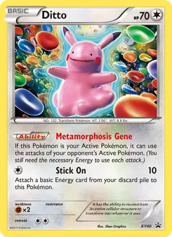 Ditto — XY Black Star Promos #XY40, 2013. Illustrated by 5ban Graphics.