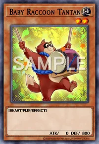 Baby Raccoon Tantan, Yu-Gi-Oh! card, EARTH
