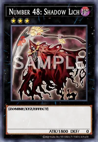 Number 48: Shadow Lich, Yu-Gi-Oh! card, DARK