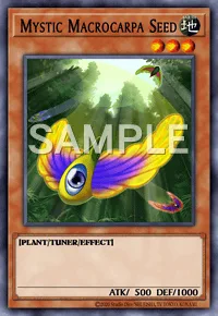 Mystic Macrocarpa Seed, Yu-Gi-Oh! card, EARTH