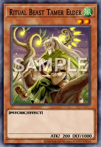 Ritual Beast Tamer Elder, Yu-Gi-Oh! card, WIND