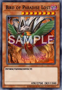 Bird of Paradise Lost, Yu-Gi-Oh! card, DARK
