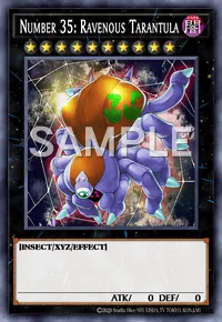 Number 35: Ravenous Tarantula, Yu-Gi-Oh! card, DARK