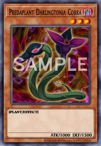 Predaplant Darlingtonia Cobra, Yu-Gi-Oh! card, DARK