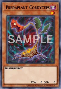 Predaplant Cordyceps, Yu-Gi-Oh! card, DARK
