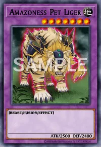Amazoness Pet Liger, Yu-Gi-Oh! card, EARTH