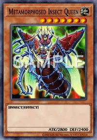 Metamorphosed Insect Queen, Yu-Gi-Oh! card, EARTH